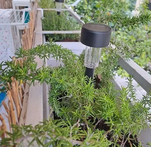 δίπλα στο πάρκο Lejlighed